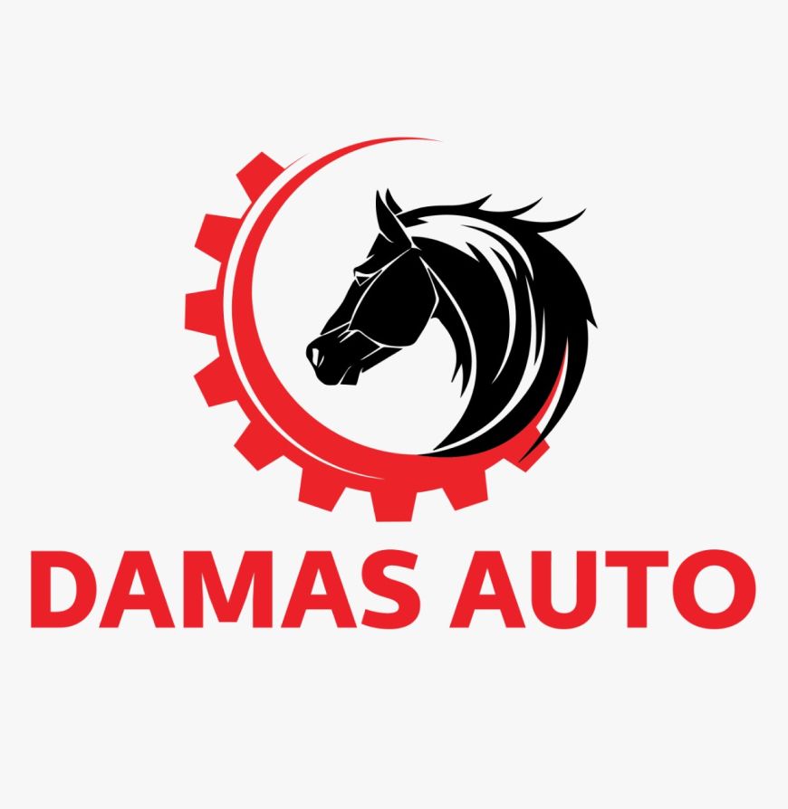 DAMAS AUTO SPARE PARTS